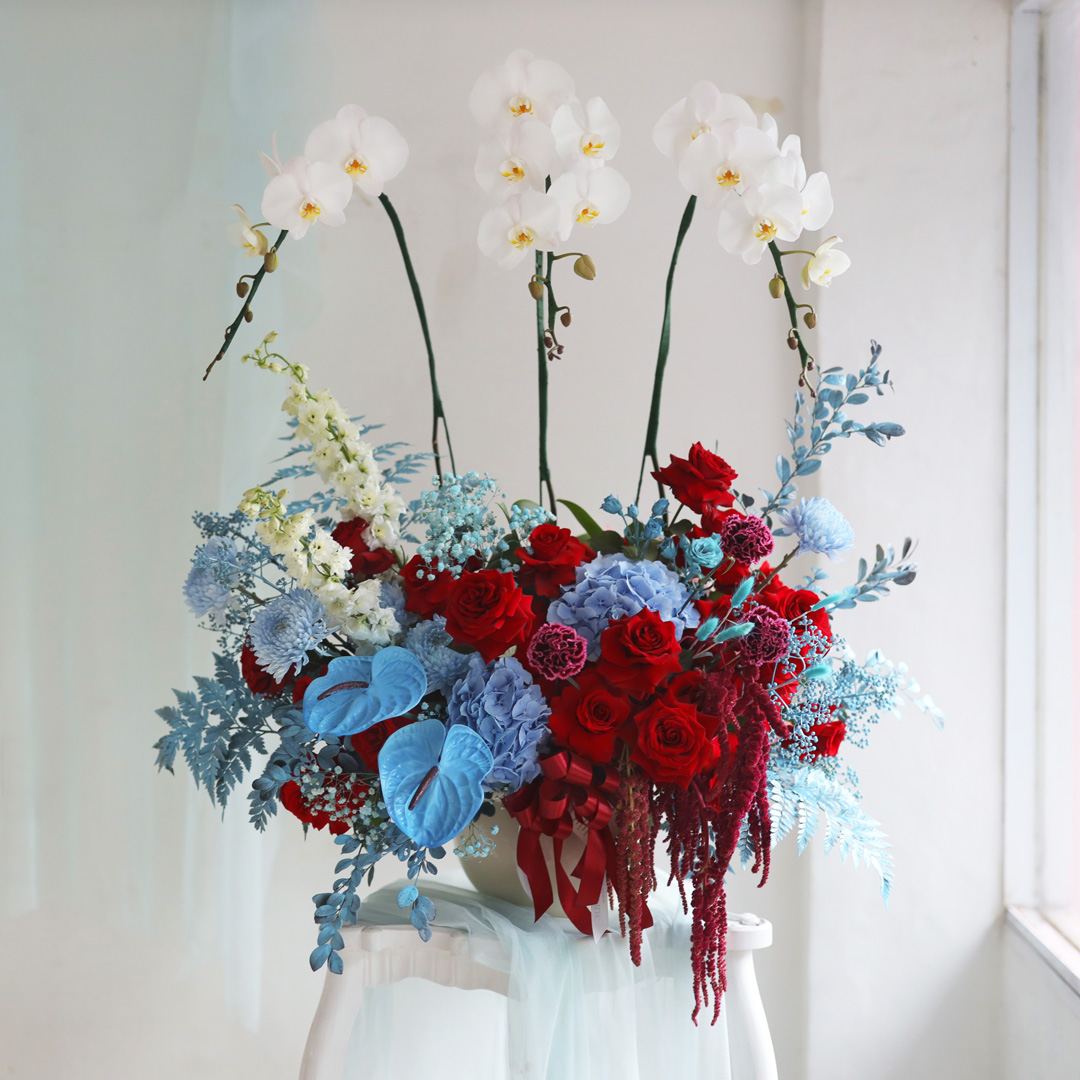 Oceanic Red Pot Plant and Cut Flowers